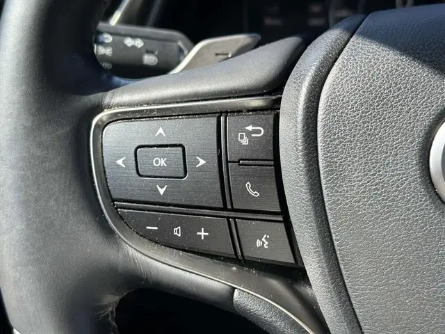 2019 Lexus ES - $24,995