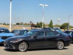2019 ES 350 Thumbnail 7