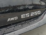 2021 ES 250 Thumbnail 11
