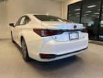 2021 ES 250 Thumbnail 17