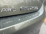 2023 ES 250 Thumbnail 12