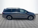 2025 Odyssey Thumbnail 5