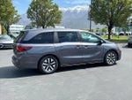 2025 Odyssey Thumbnail 7