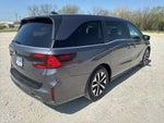 2025 Odyssey Thumbnail 7