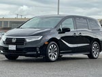 2023 Odyssey Thumbnail 7