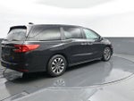 2023 Odyssey Thumbnail 25