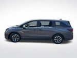 2025 Odyssey Thumbnail 4