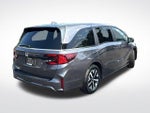 2025 Odyssey Thumbnail 7