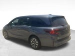 2025 Odyssey Thumbnail 4
