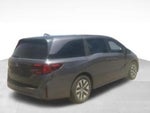 2025 Odyssey Thumbnail 5