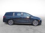 2025 Odyssey Thumbnail 7