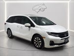 2026 Odyssey Thumbnail 7