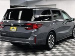 2025 Odyssey Thumbnail 13