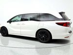 2023 Odyssey Thumbnail 7