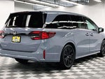 2025 Odyssey Thumbnail 13
