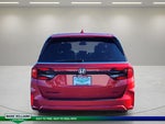 2026 Odyssey Thumbnail 5