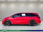 2026 Odyssey Thumbnail 7