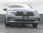 2023 Odyssey Thumbnail 36