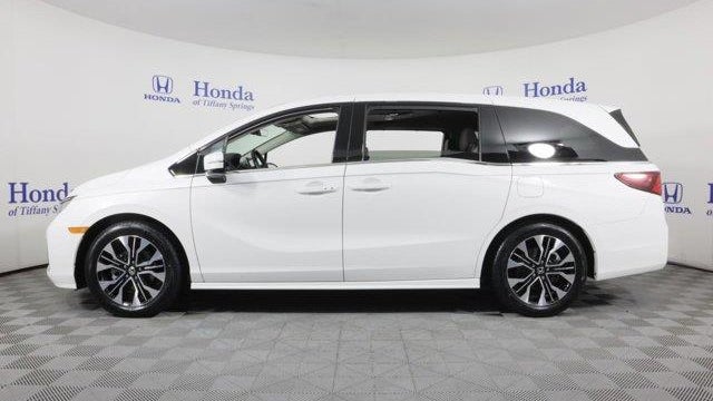2025 Honda Odyssey Elite
