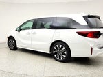 2026 Odyssey Thumbnail 7