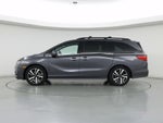 2019 Odyssey Thumbnail 3