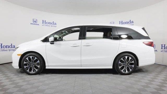 2025 Honda Odyssey Elite
