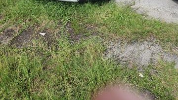 2019 Honda Pilot Touring w/Rear Captain's Chairs