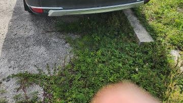2019 Honda Pilot Touring w/Rear Captain's Chairs