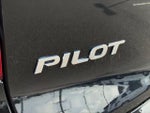 2019 Pilot Thumbnail 14