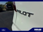 2019 Pilot Thumbnail 24