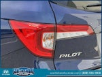 2020 Pilot Thumbnail 11