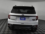 2023 Passport Thumbnail 7