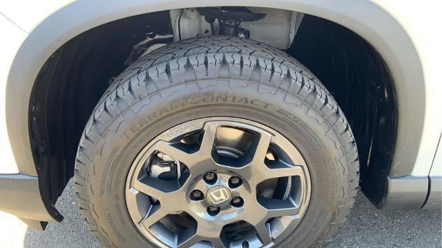 2024 Honda Pilot TrailSport
