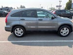 2010 CR-V Thumbnail 8