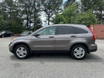 2010 CR-V Thumbnail 4