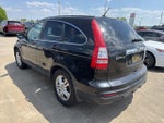 2010 CR-V Thumbnail 5