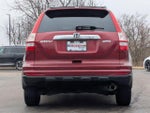 2011 CR-V Thumbnail 6