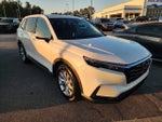 2024 CR-V Thumbnail 2