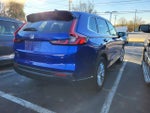 2025 CR-V Thumbnail 4