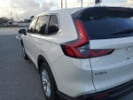 2025 CR-V Thumbnail 5