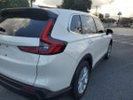 2025 CR-V Thumbnail 6