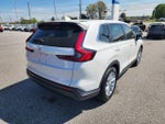 2025 CR-V Thumbnail 4