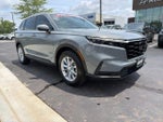 2025 CR-V Thumbnail 2