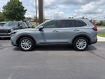 2025 CR-V Thumbnail 5