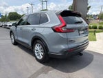 2025 CR-V Thumbnail 6