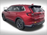 2026 CR-V Thumbnail 11
