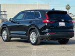 2024 CR-V Thumbnail 5