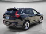 2025 CR-V Thumbnail 7