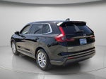 2025 CR-V Thumbnail 8