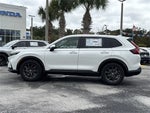 2026 CR-V Thumbnail 7